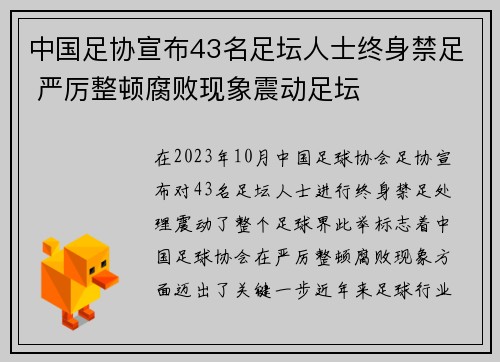 中国足协宣布43名足坛人士终身禁足 严厉整顿腐败现象震动足坛